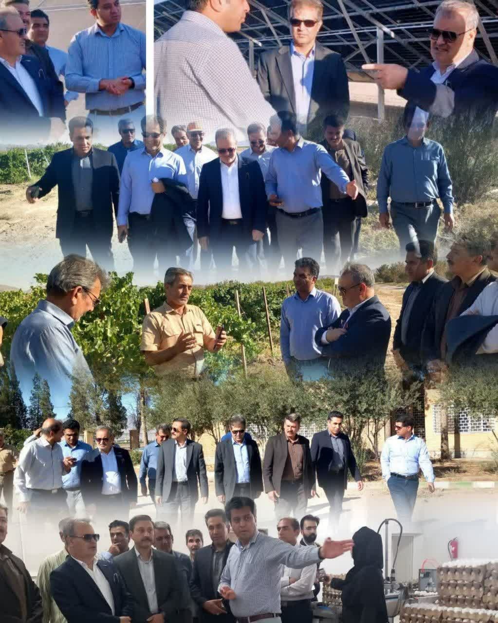 نیم نگاهی به سفر رئیس سازمان تحقیقات، آموزش و ترویج كشاورزی (تات) به خراسان رضوی